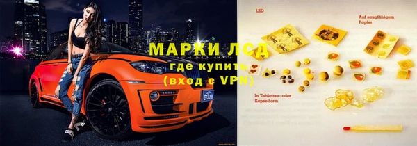 СК Новозыбков
