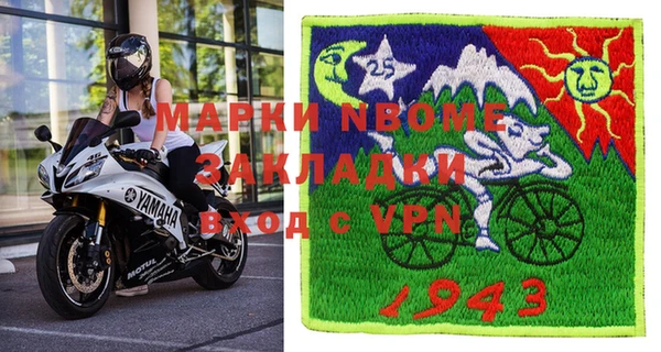 стаф Новокубанск