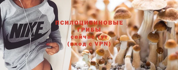 прущая мука Новодвинск