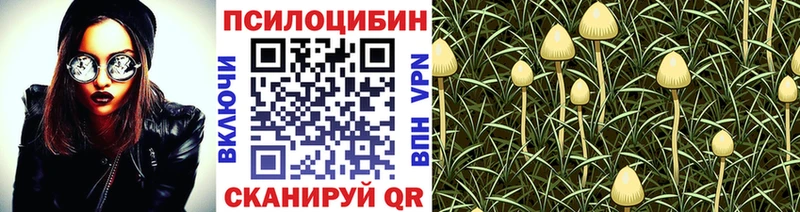 купить закладку  Нарьян-Мар  Псилоцибиновые грибы Psilocybe 