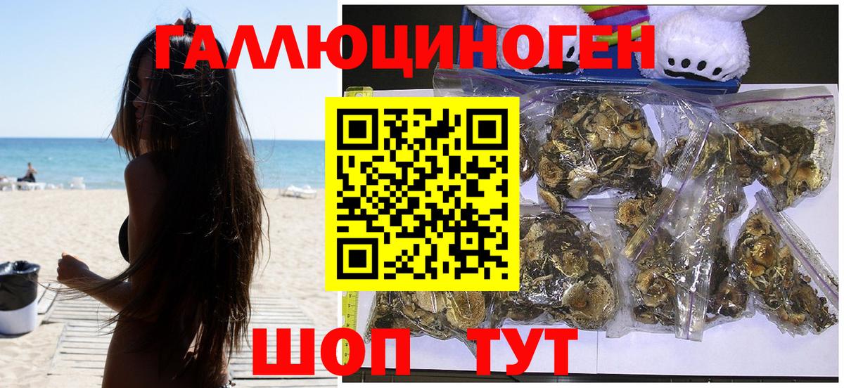 Псилоцибиновые грибы GOLDEN TEACHER Нарьян-Мар