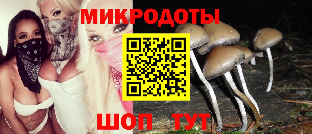 Галлюциногенные грибы Magic Shrooms  купить   Нарьян-Мар  Вход с VPN  Псилоцибиновые грибы Psilocybe 