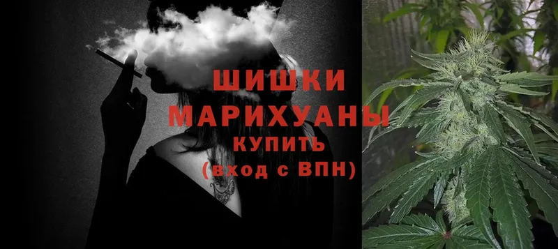 купить наркотики цена  гидра рабочий сайт  Конопля SATIVA & INDICA  Нарьян-Мар 